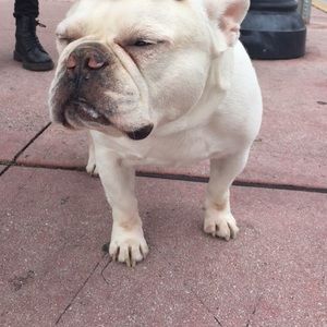 Meet your Posher, Necka